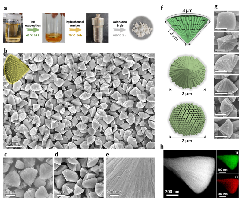 image1.png